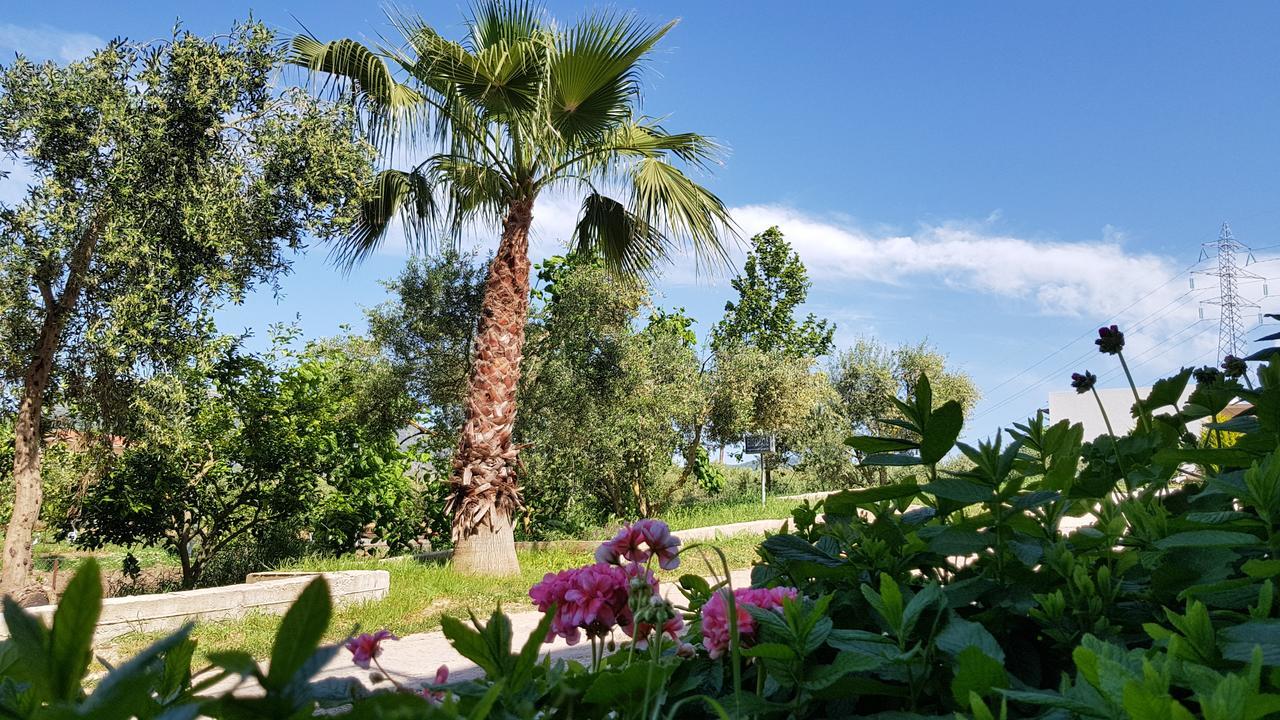 Sozos Inn Hotel 沃尼扎 外观 照片
